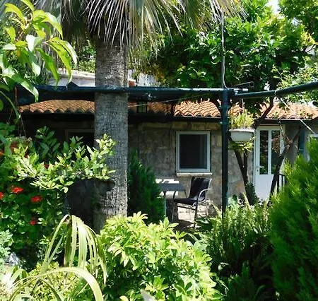 Jungle Terrace Apartman