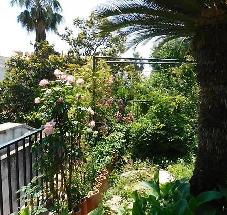 Jungle Terrace Апартаменты *