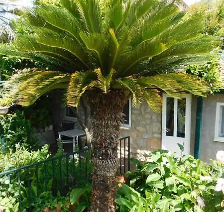 Jungle Terrace Apartman Dubrovnik